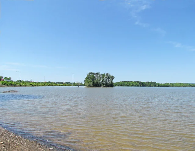 Colonia de aves del lago Martin