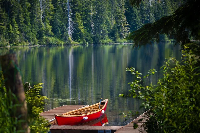 Bosque Nacional Tongass