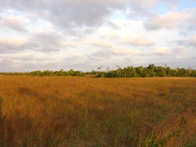 Parque Nacional de los Everglades