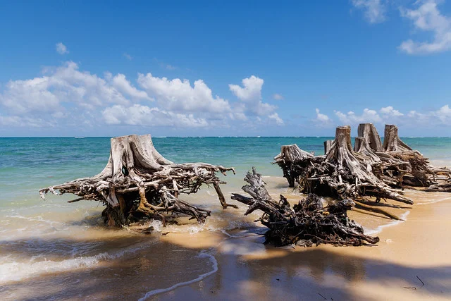 Costa Norte de Oahu