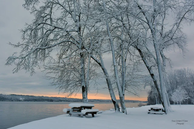 Parque del río Hudson