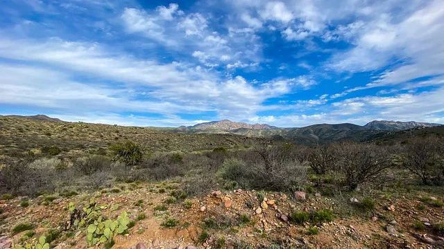 Bosque Nacional Tonto