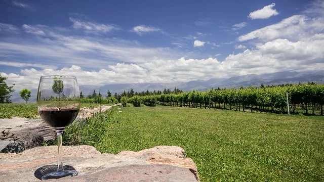 Bodegas Andeluna