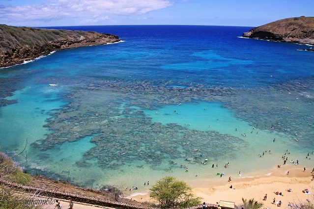 Bahía Hanauma