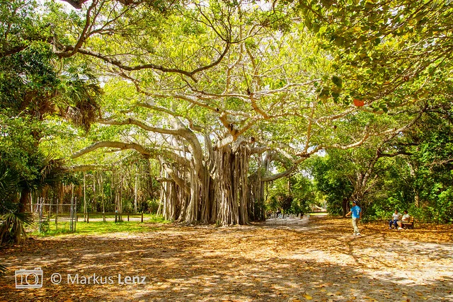Parque Estatal Hugh Taylor Birch