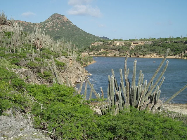 Parque Marino Nacional de Bonaire