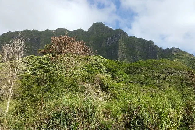 Cordillera Koʻolau
