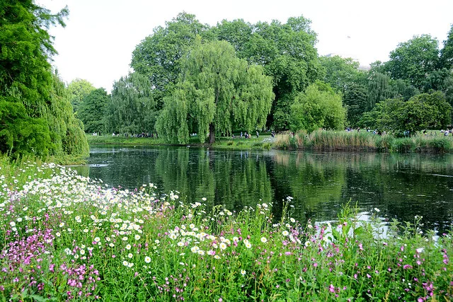 Parque de la Tranquilidad