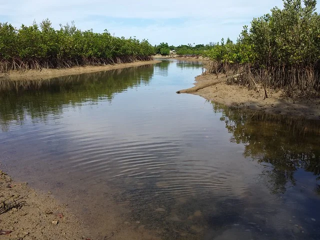 Parque Estatal del Río Oleta