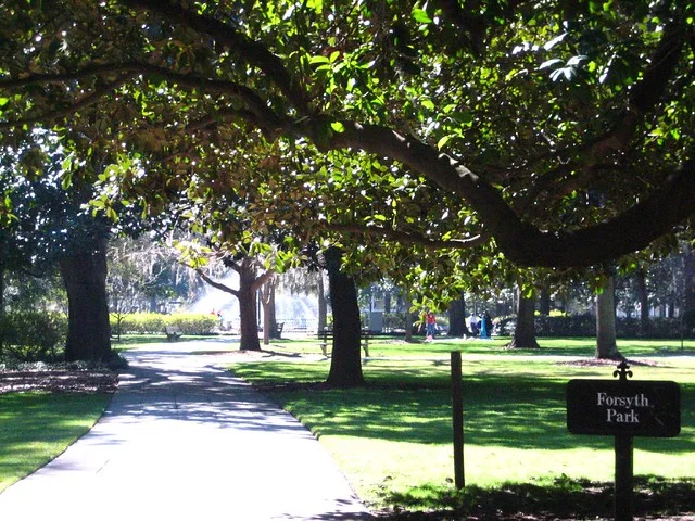 Parque Forsyth