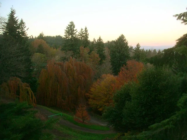 Arboretum Hoyt