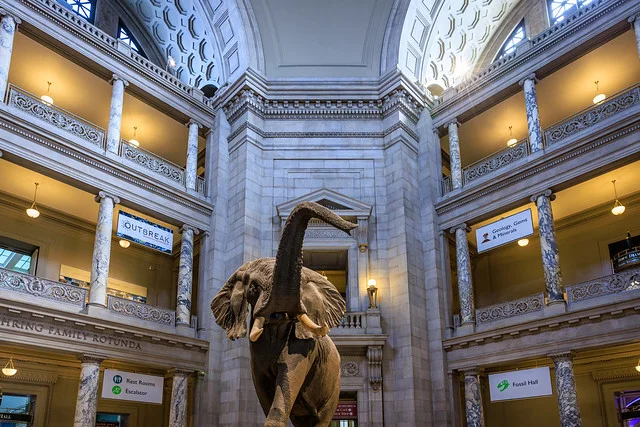 Museo Nacional de Historia Natural