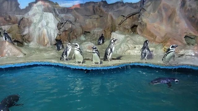 Acuario Acqua Mundo