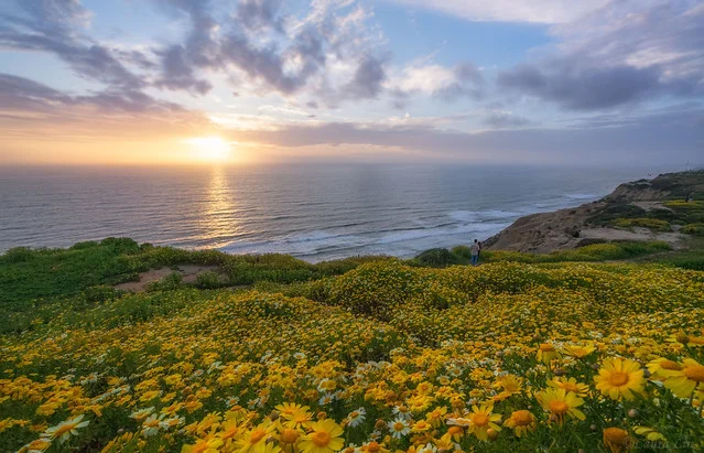 Puerto de Planeadores Torrey Pines