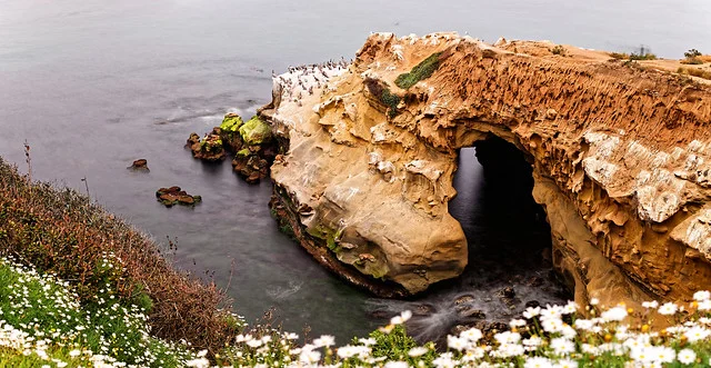 Bahía de La Jolla