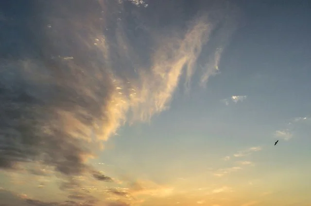 Isla Sanibel
