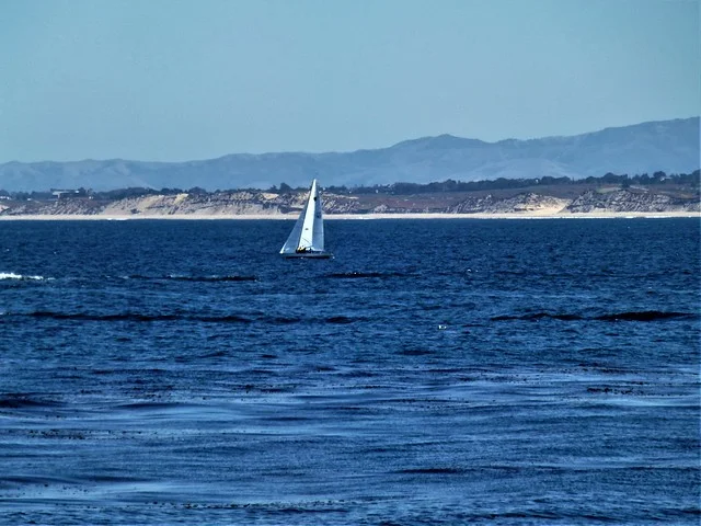 Bahía de Monterey