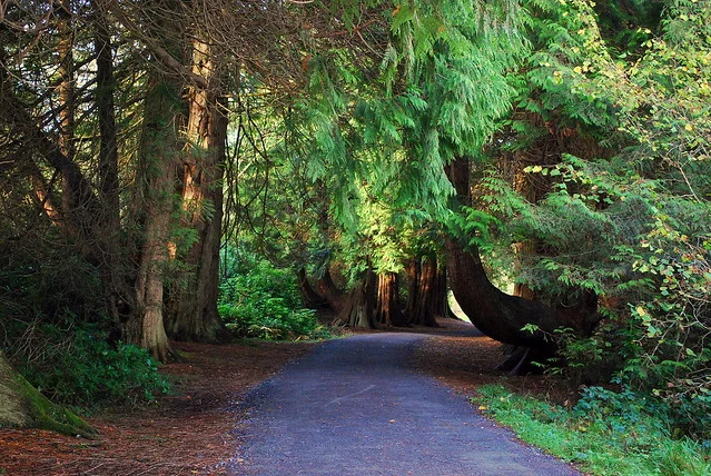 Parque Forestal