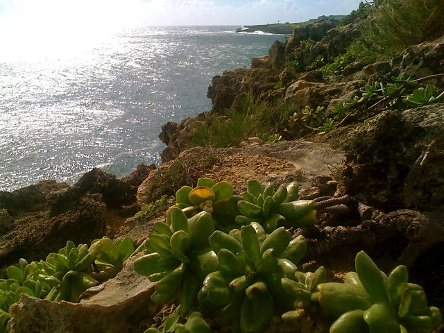 Lihue