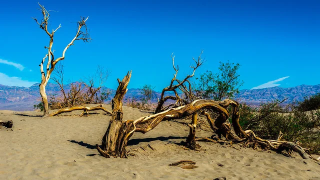 Área Recreativa de Sand Flats