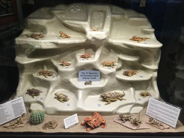 Museo Internacional Estadounidense de Serpientes de Cascabel