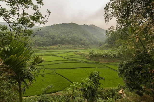 Reserva Natural Pu Luong