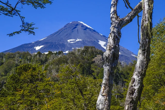 Parque Nacional Lanín