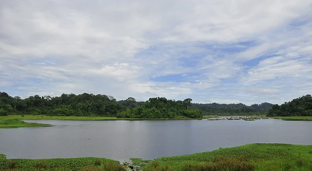 Lago de los Cocodrilos (Bàu Sấu)