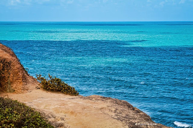 Playa Cacimbinhas
