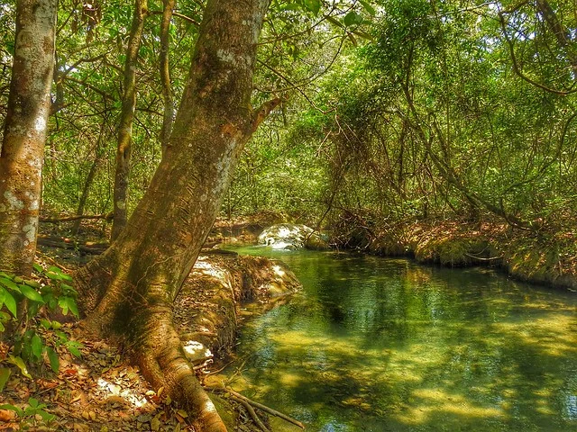 Río Sucuri