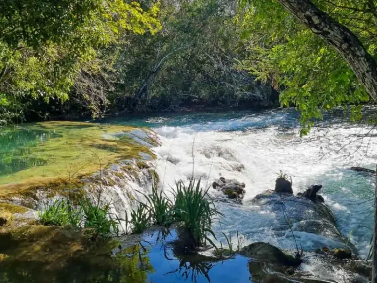 Parque Ecológico Río Formoso