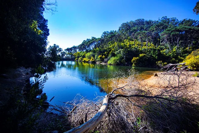 Laguna Azul