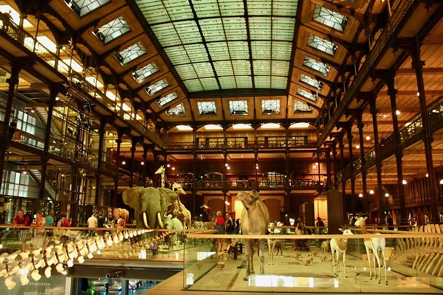 Museo Nacional de Historia