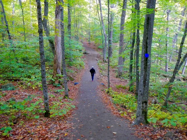 Sendero Mirador Algonquin