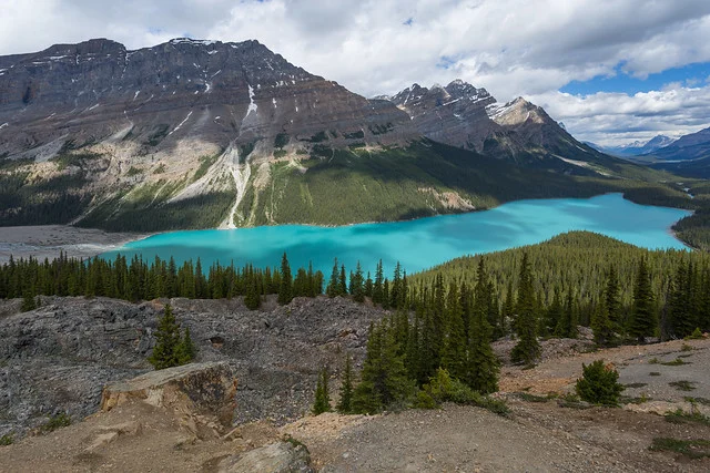Lago Peyto