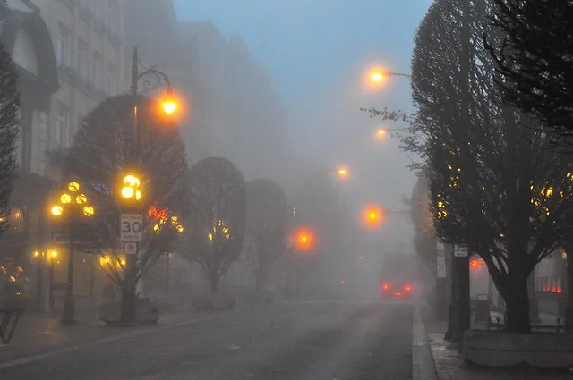 Calle Government