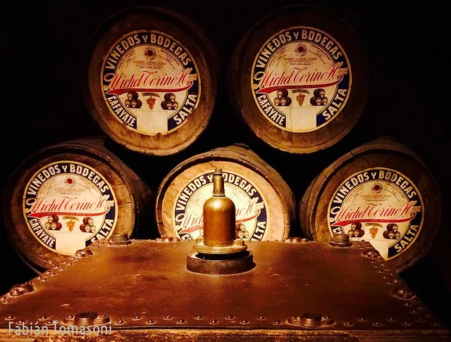 Museo de la Vid y el Vino
