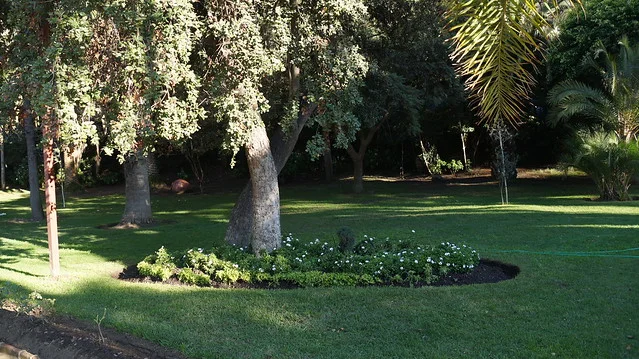 Parque Quinta Vergara