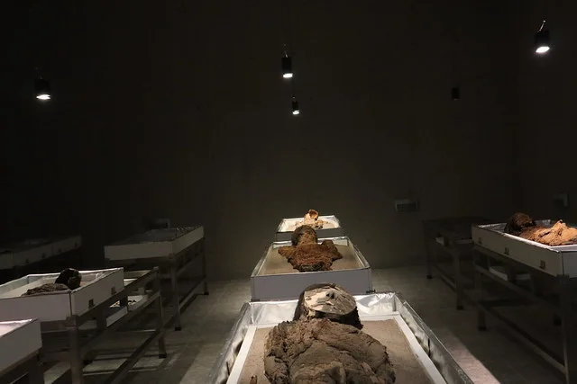 Museo Arqueológico San Miguel de Azapa