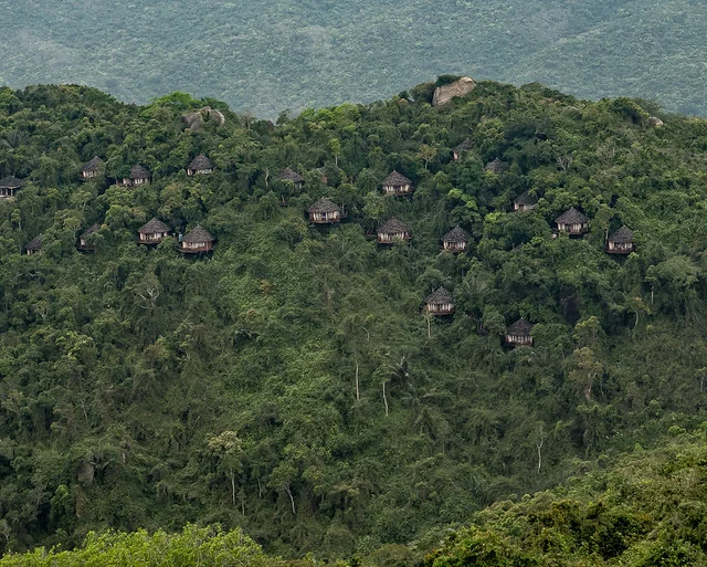 Parque Forestal Tropical del Paraíso de la Bahía Yalong