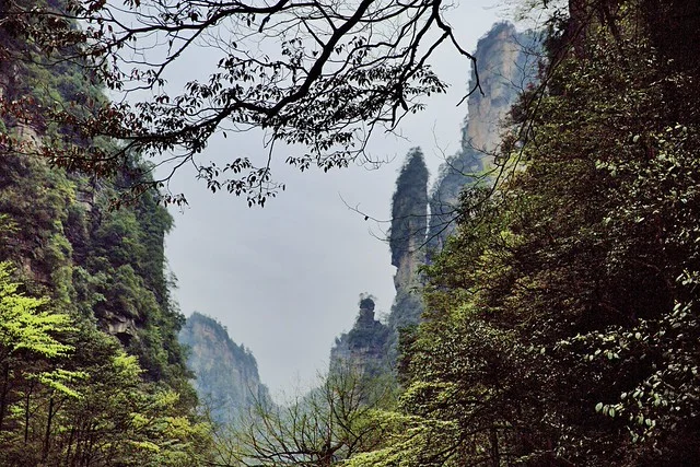 Parque Nacional del Bosque de Zhangjiajie