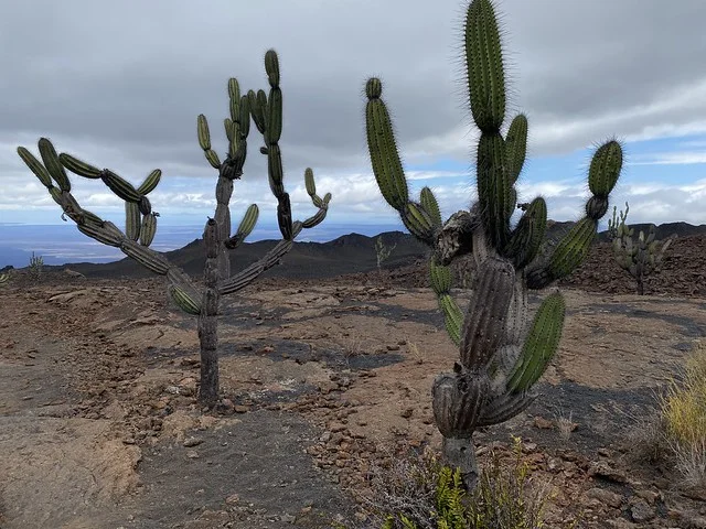 Volcán Santa Isabel