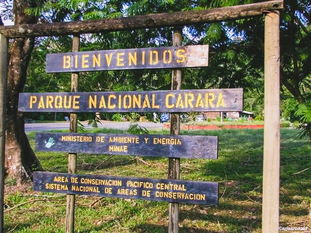 Parque Nacional Carara