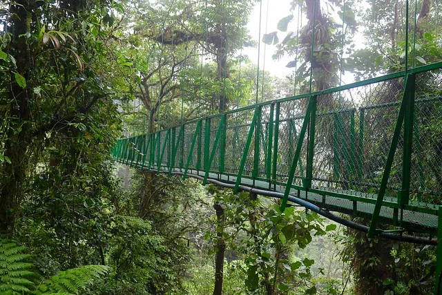 Parque Selvatura