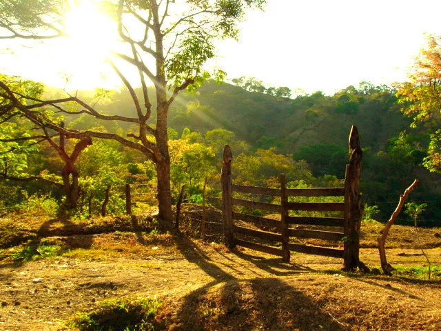 Parque Morazán
