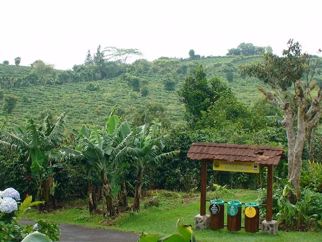 Finca Doka