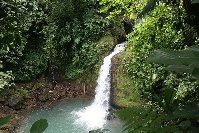 Jardines y Cascadas Pura Vida