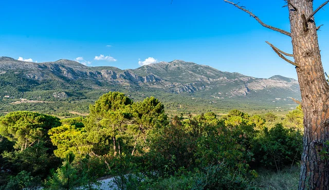 Valle de Konavle