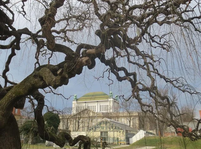 Jardín Botánico de Zagreb