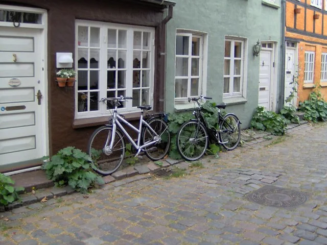 Mollestien